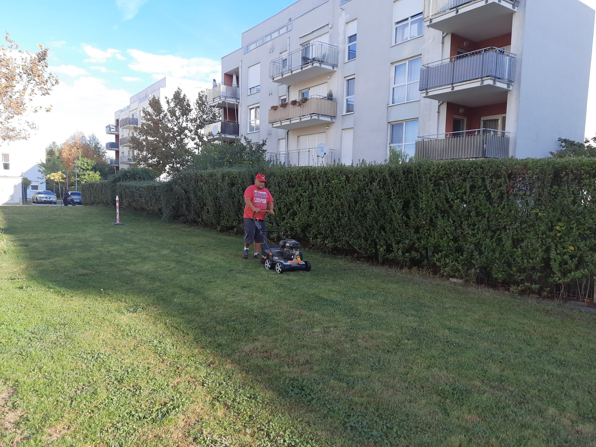 întreținere grădini București, întreținere grădini Ilfov, servicii întreținere grădini București, servicii întreținere grădini Ilfov, grădinar profesionist București, grădinar profesionist Ilfov, întreținere spații verzi București, întreținere spații verzi Ilfov, mentenanță spații verzi București, mentenanță spații verzi Ilfov, întreținere gazon București, întreținere gazon Ilfov, tundere gazon București, tundere gazon Ilfov, irigare gazon București, irigare gazon Ilfov, fertilizare gazon București, fertilizare gazon Ilfov, gazon rulou București, gazon rulou Ilfov, gazonare curți București, gazonare curți Ilfov, plantare gazon București, plantare gazon Ilfov, amenajare grădini București, amenajare grădini Ilfov, consultanță grădini București, consultanță grădini Ilfov, consultanță peisagistică București, consultanță peisagistică Ilfov, proiectare grădini București, proiectare grădini Ilfov, design peisagistic București, design peisagistic Ilfov, arhitectură peisageră București, arhitectură peisageră Ilfov, servicii peisagistică București, servicii peisagistică Ilfov, toaletare arbori București, toaletare arbori Ilfov, curățare arbori București, curățare arbori Ilfov, tăiere copaci periculoși București, tăiere copaci periculoși Ilfov, îngrijire arbori București, îngrijire arbori Ilfov, defrișări controlate București, defrișări controlate Ilfov, curățare frunziș București, curățare frunziș Ilfov, întreținere pomi fructiferi București, întreținere pomi fructiferi Ilfov, servicii curățenie curte București, servicii curățenie curte Ilfov, întreținere curți verzi București, întreținere curți verzi Ilfov, grădinărit profesional București, grădinărit profesional Ilfov, firme grădinărit București, firme grădinărit Ilfov, întreținere grădini rezidențiale București, întreținere grădini rezidențiale Ilfov, întreținere spații verzi comerciale București, întreținere spații verzi comerciale Ilfov, servicii sezoniere grădină București, servicii sezoniere grădină Ilfov