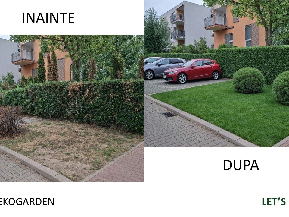 Intretinere spatii verzi