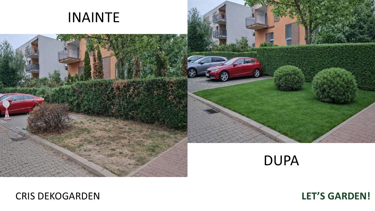 Intretinere spatii verzi