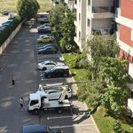 Mentenanta spatiilor verzi intr-un complex rezidential, cu arbori, gazon, vegetatie ornamentala si sistem de irigatii monitorizat.
